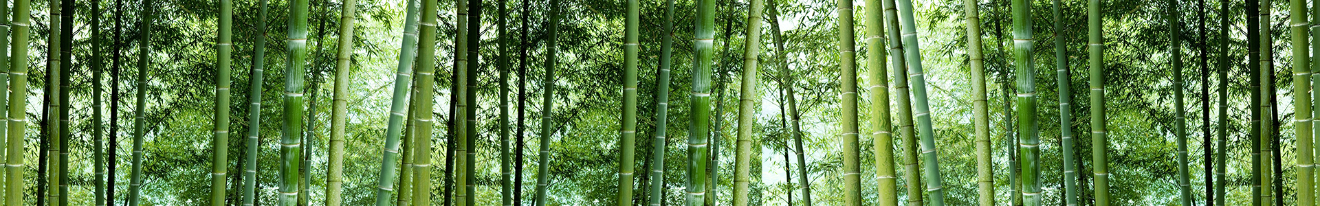 新聞動(dòng)態(tài)